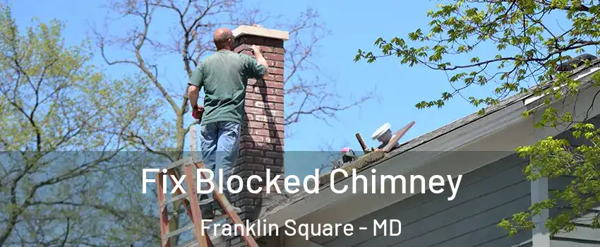 Fix Blocked Chimney Franklin Square - MD