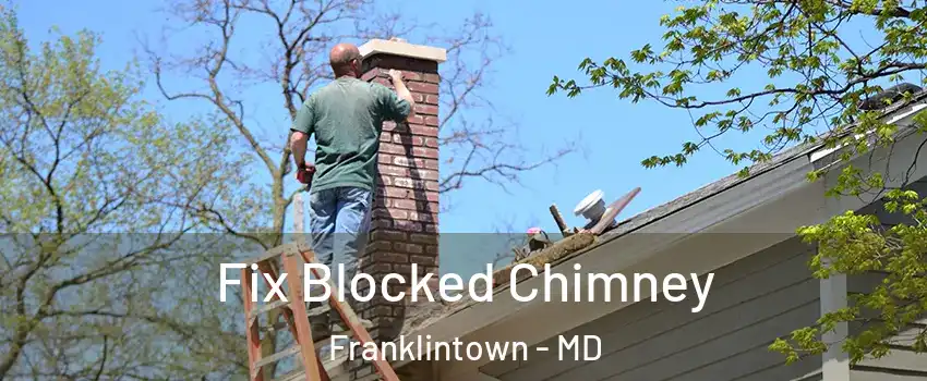 Fix Blocked Chimney Franklintown - MD