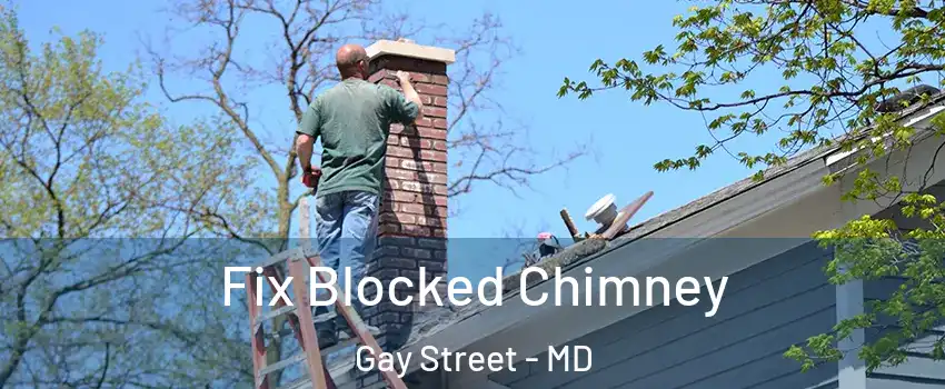 Fix Blocked Chimney Gay Street - MD