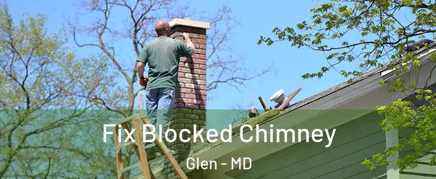 Fix Blocked Chimney Glen - MD