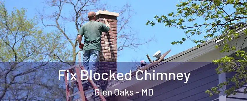Fix Blocked Chimney Glen Oaks - MD