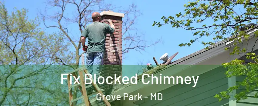 Fix Blocked Chimney Grove Park - MD