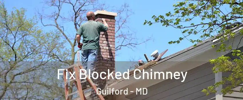 Fix Blocked Chimney Guilford - MD