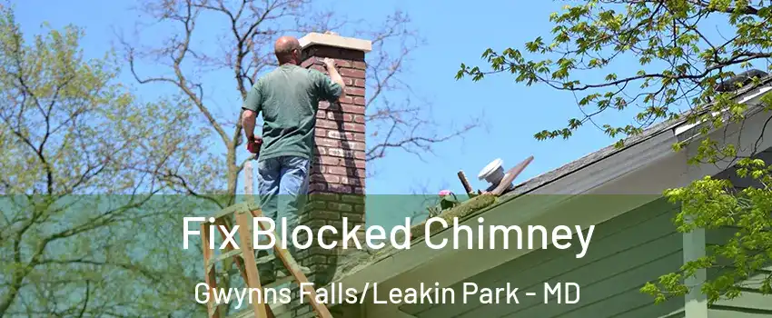 Fix Blocked Chimney Gwynns Falls/Leakin Park - MD