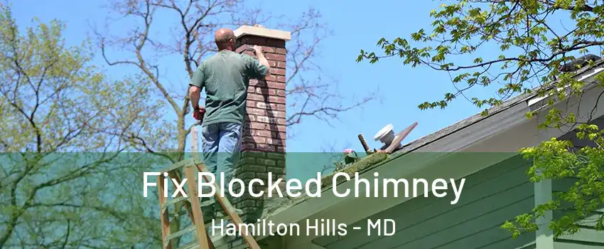 Fix Blocked Chimney Hamilton Hills - MD