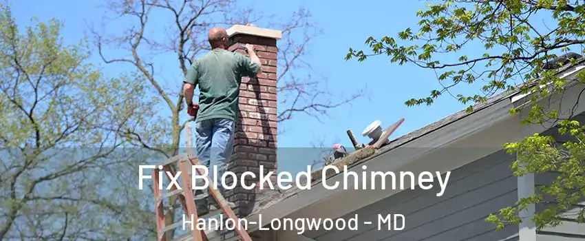 Fix Blocked Chimney Hanlon-Longwood - MD