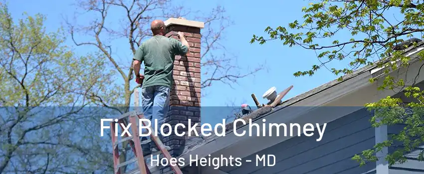 Fix Blocked Chimney Hoes Heights - MD
