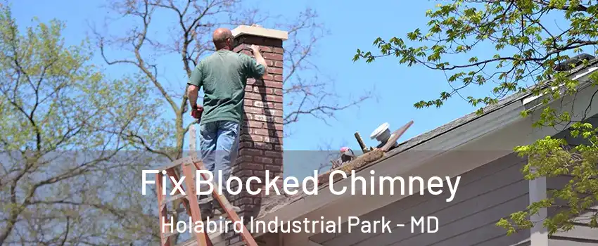 Fix Blocked Chimney Holabird Industrial Park - MD