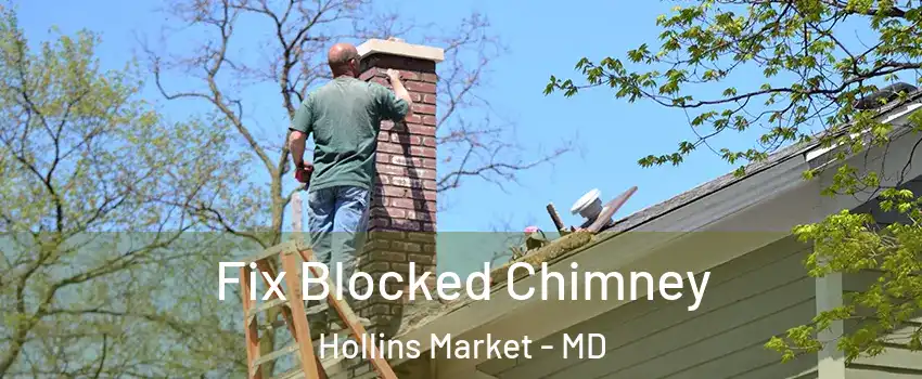 Fix Blocked Chimney Hollins Market - MD