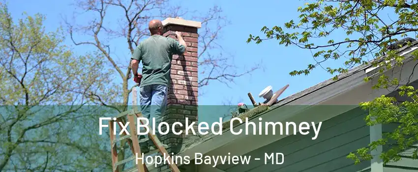 Fix Blocked Chimney Hopkins Bayview - MD
