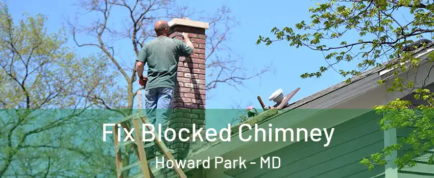 Fix Blocked Chimney Howard Park - MD