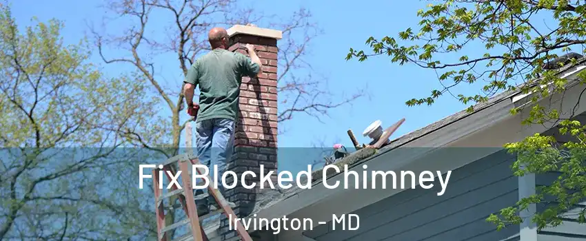 Fix Blocked Chimney Irvington - MD