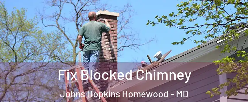 Fix Blocked Chimney Johns Hopkins Homewood - MD