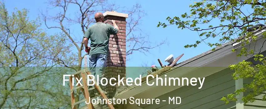 Fix Blocked Chimney Johnston Square - MD