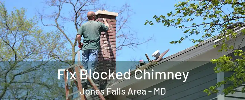 Fix Blocked Chimney Jones Falls Area - MD