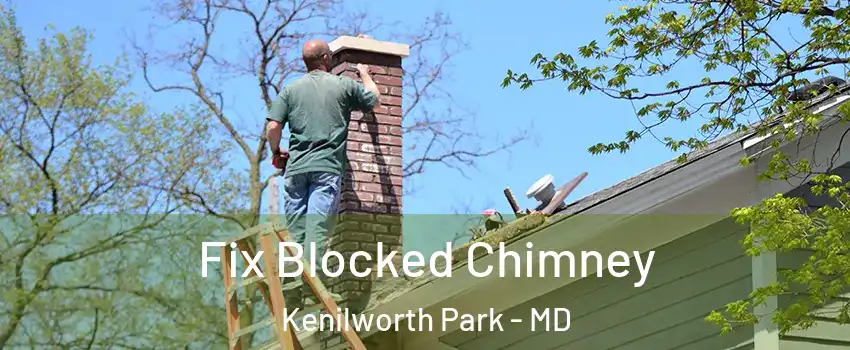 Fix Blocked Chimney Kenilworth Park - MD