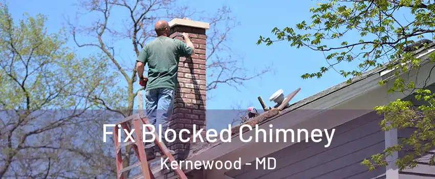 Fix Blocked Chimney Kernewood - MD
