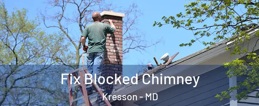 Fix Blocked Chimney Kresson - MD