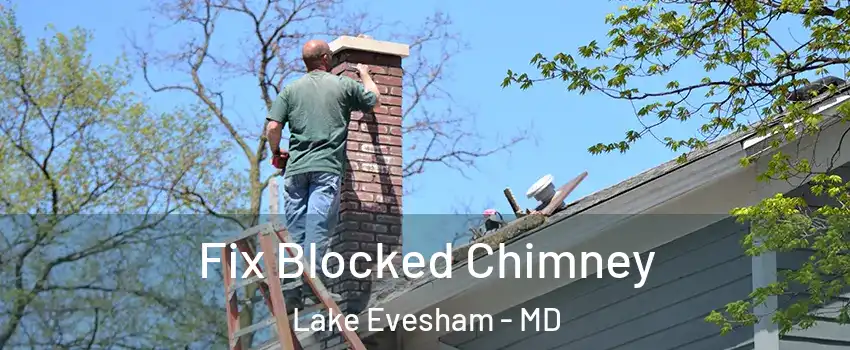Fix Blocked Chimney Lake Evesham - MD