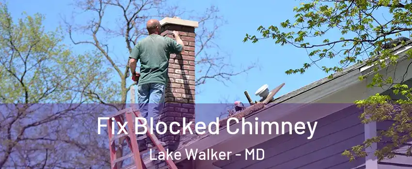 Fix Blocked Chimney Lake Walker - MD