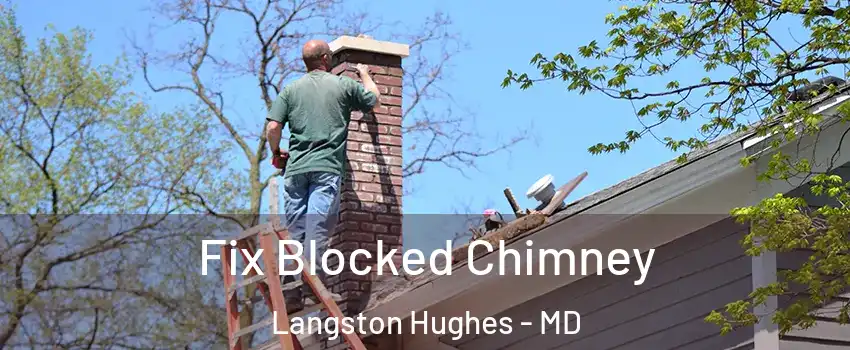 Fix Blocked Chimney Langston Hughes - MD