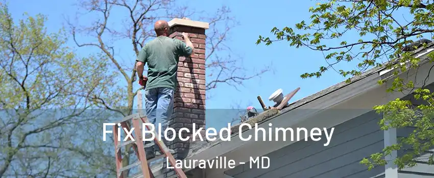 Fix Blocked Chimney Lauraville - MD
