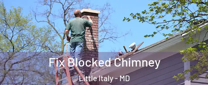 Fix Blocked Chimney Little Italy - MD