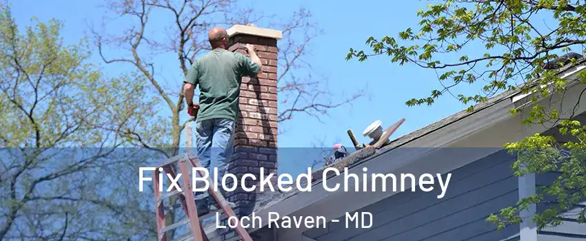 Fix Blocked Chimney Loch Raven - MD