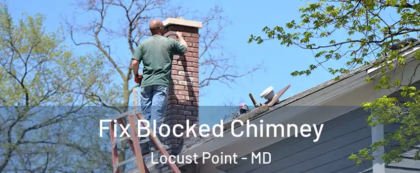 Fix Blocked Chimney Locust Point - MD