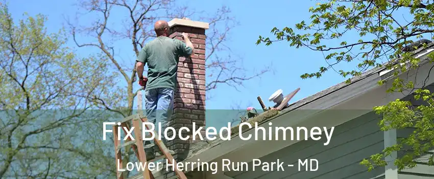Fix Blocked Chimney Lower Herring Run Park - MD