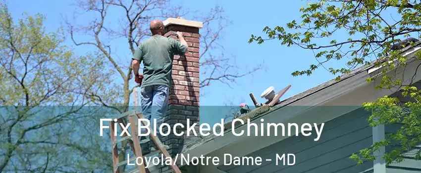 Fix Blocked Chimney Loyola/Notre Dame - MD