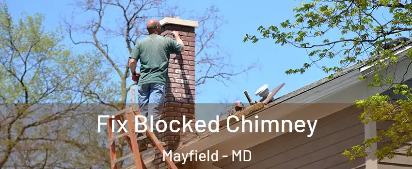 Fix Blocked Chimney Mayfield - MD