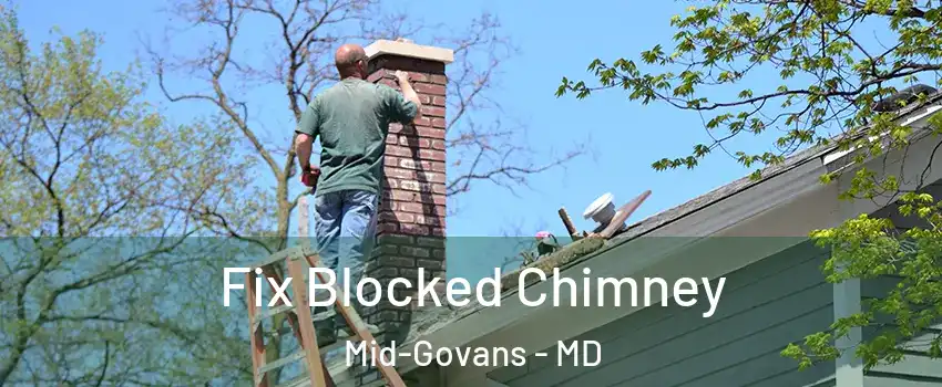 Fix Blocked Chimney Mid-Govans - MD
