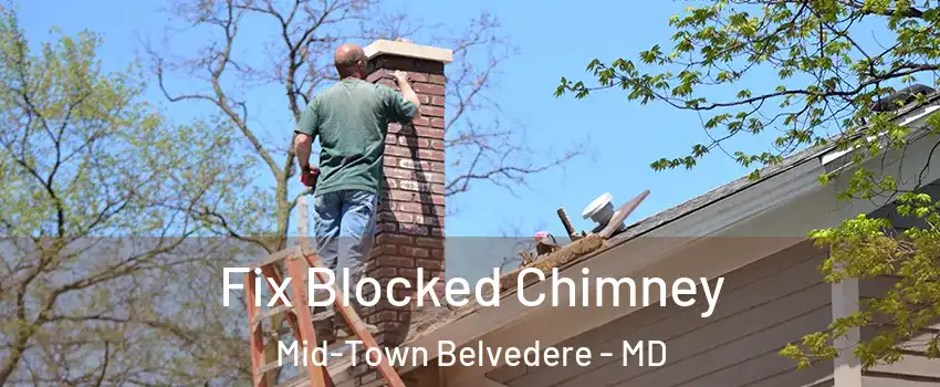 Fix Blocked Chimney Mid-Town Belvedere - MD