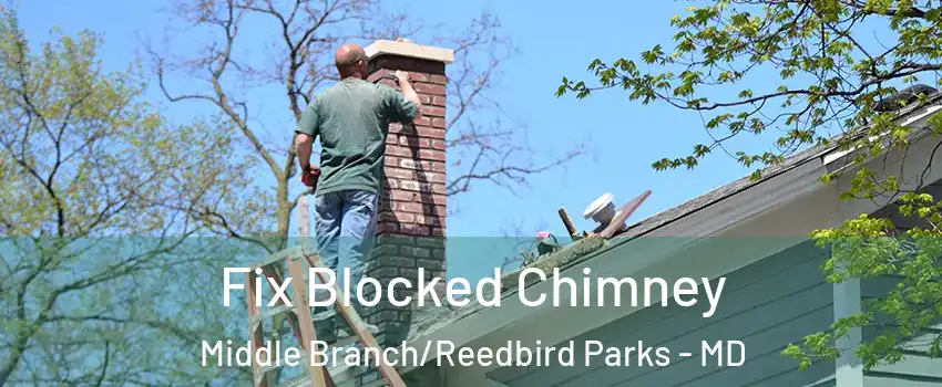 Fix Blocked Chimney Middle Branch/Reedbird Parks - MD