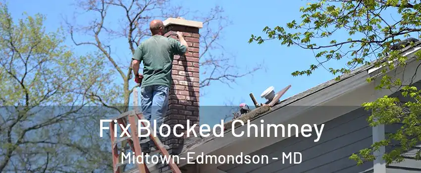 Fix Blocked Chimney Midtown-Edmondson - MD