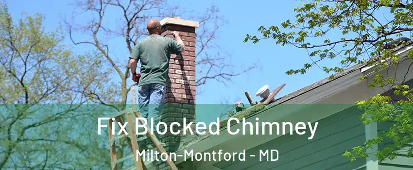 Fix Blocked Chimney Milton-Montford - MD