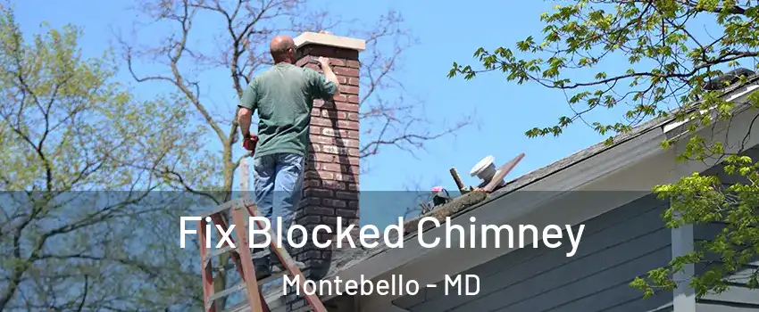 Fix Blocked Chimney Montebello - MD