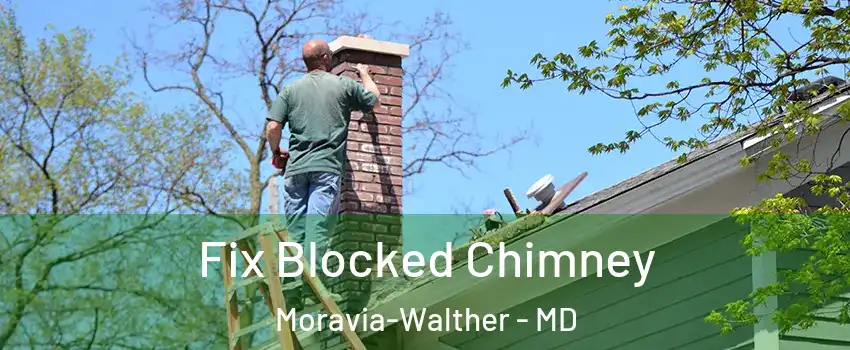 Fix Blocked Chimney Moravia-Walther - MD