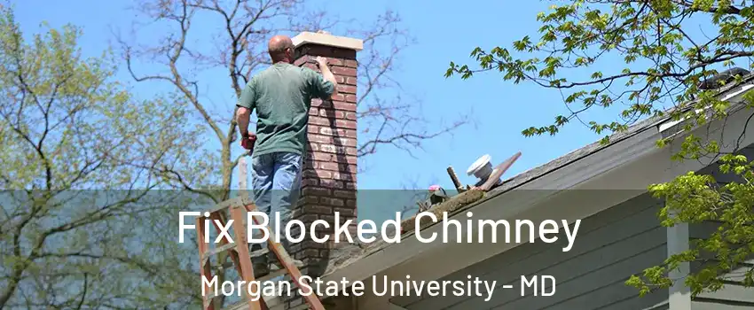 Fix Blocked Chimney Morgan State University - MD