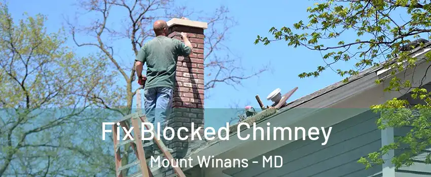 Fix Blocked Chimney Mount Winans - MD