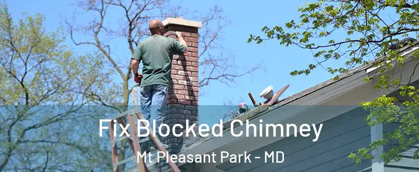 Fix Blocked Chimney Mt Pleasant Park - MD