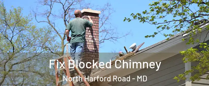 Fix Blocked Chimney North Harford Road - MD
