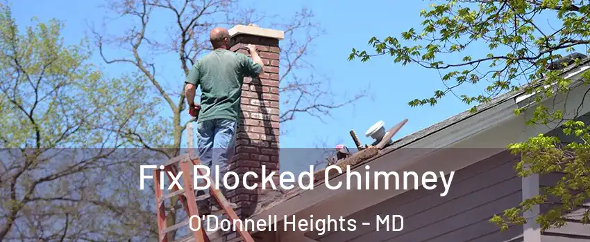 Fix Blocked Chimney O'Donnell Heights - MD