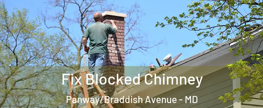Fix Blocked Chimney Panway/Braddish Avenue - MD