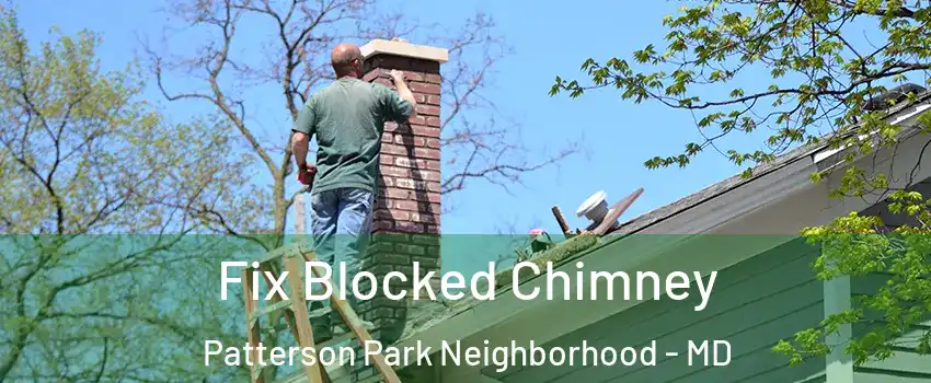 Fix Blocked Chimney Patterson Park Neighborhood - MD