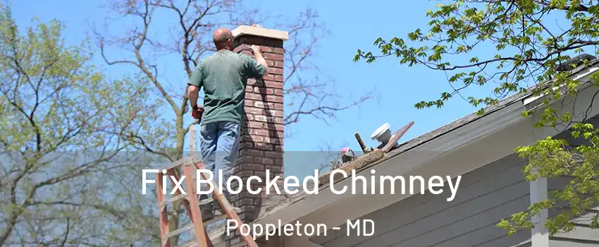 Fix Blocked Chimney Poppleton - MD