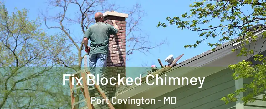 Fix Blocked Chimney Port Covington - MD