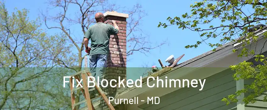 Fix Blocked Chimney Purnell - MD