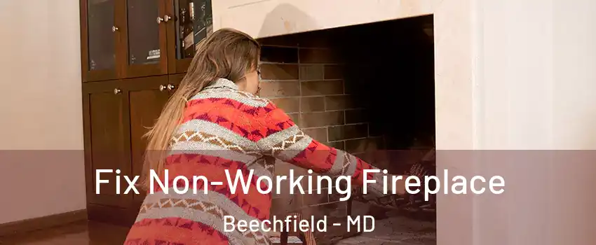 Fix Non-Working Fireplace Beechfield - MD